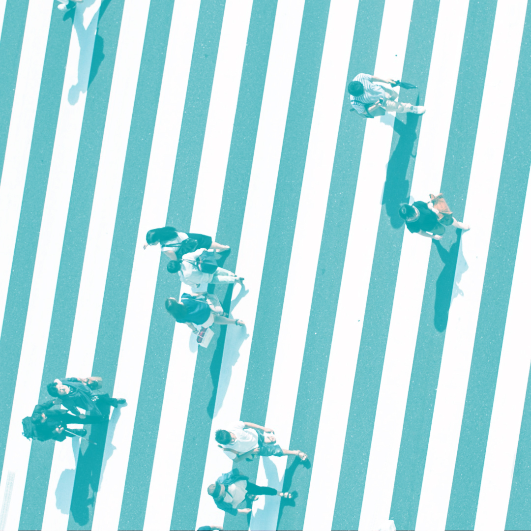 Image module